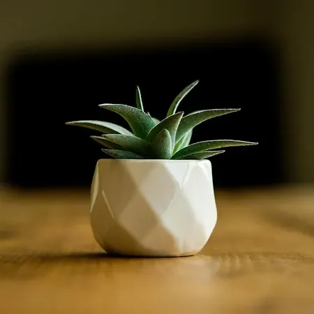 Sladacre 2 Bedroom Converted Barn *