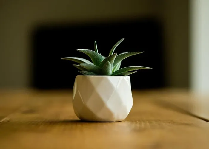 Sladacre 2 Bedroom Converted Barn *